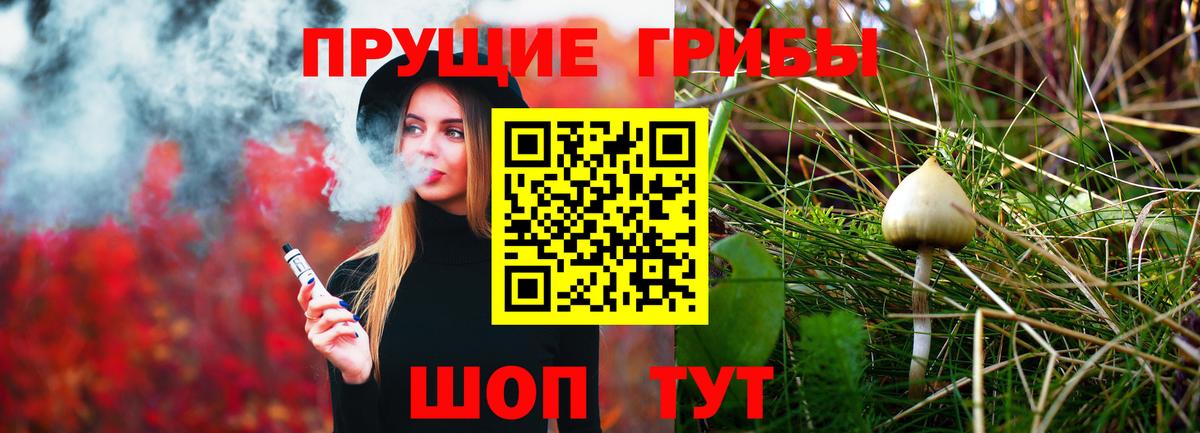 Псилоцибиновые грибы Magic Shrooms Алатырь